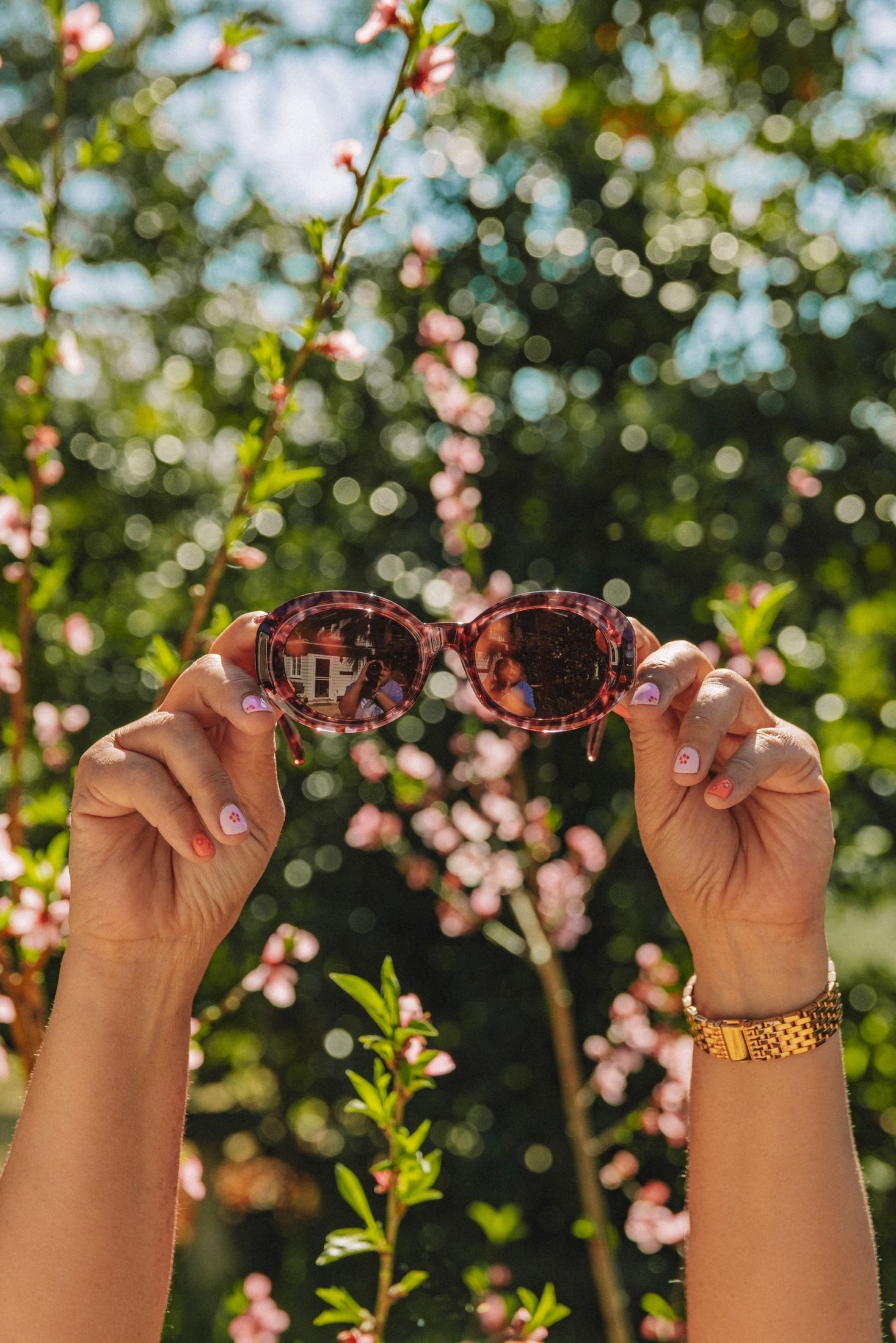 Gafas de sol | Saline Carey