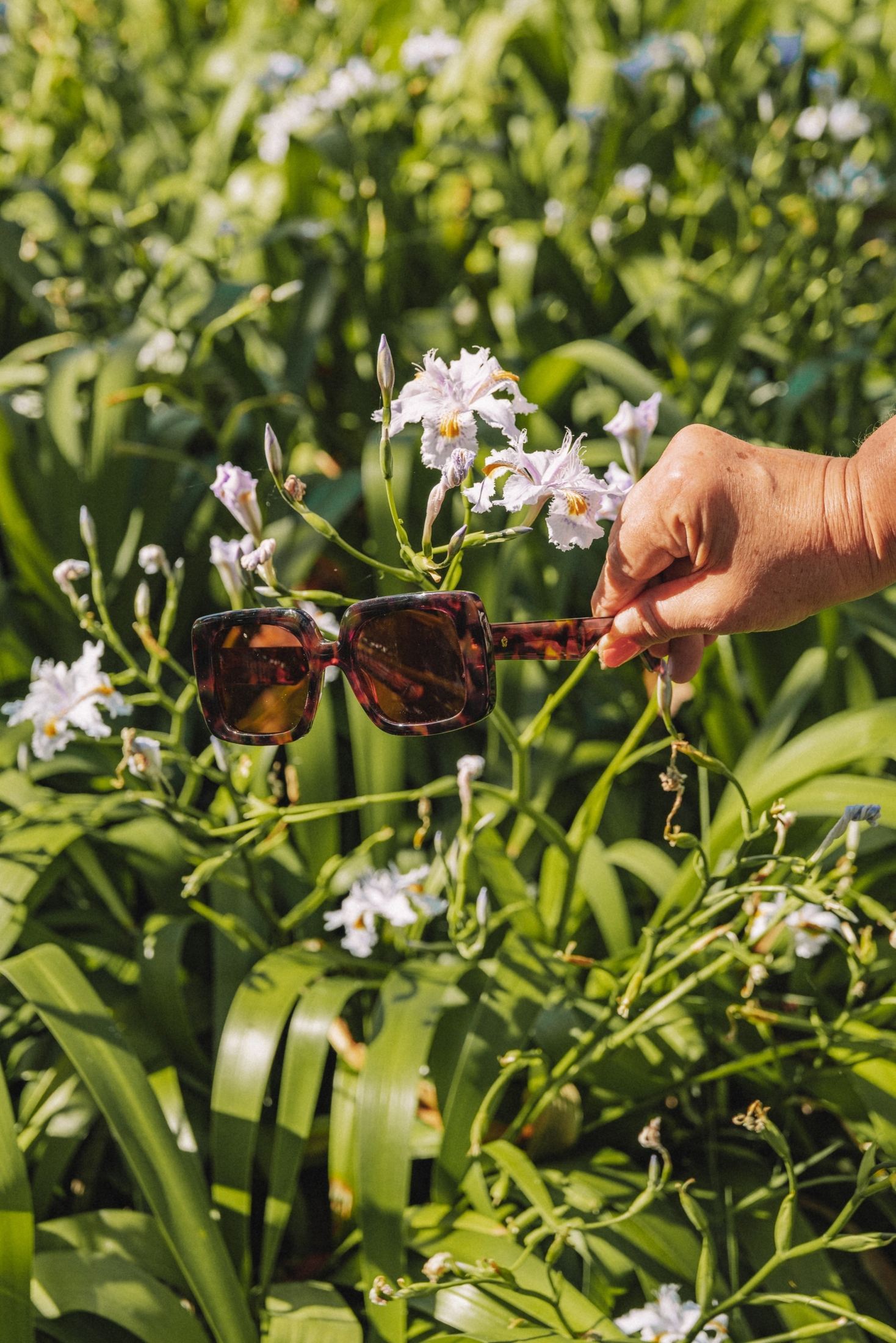 Lunettes de soleil | Noosa Écaille