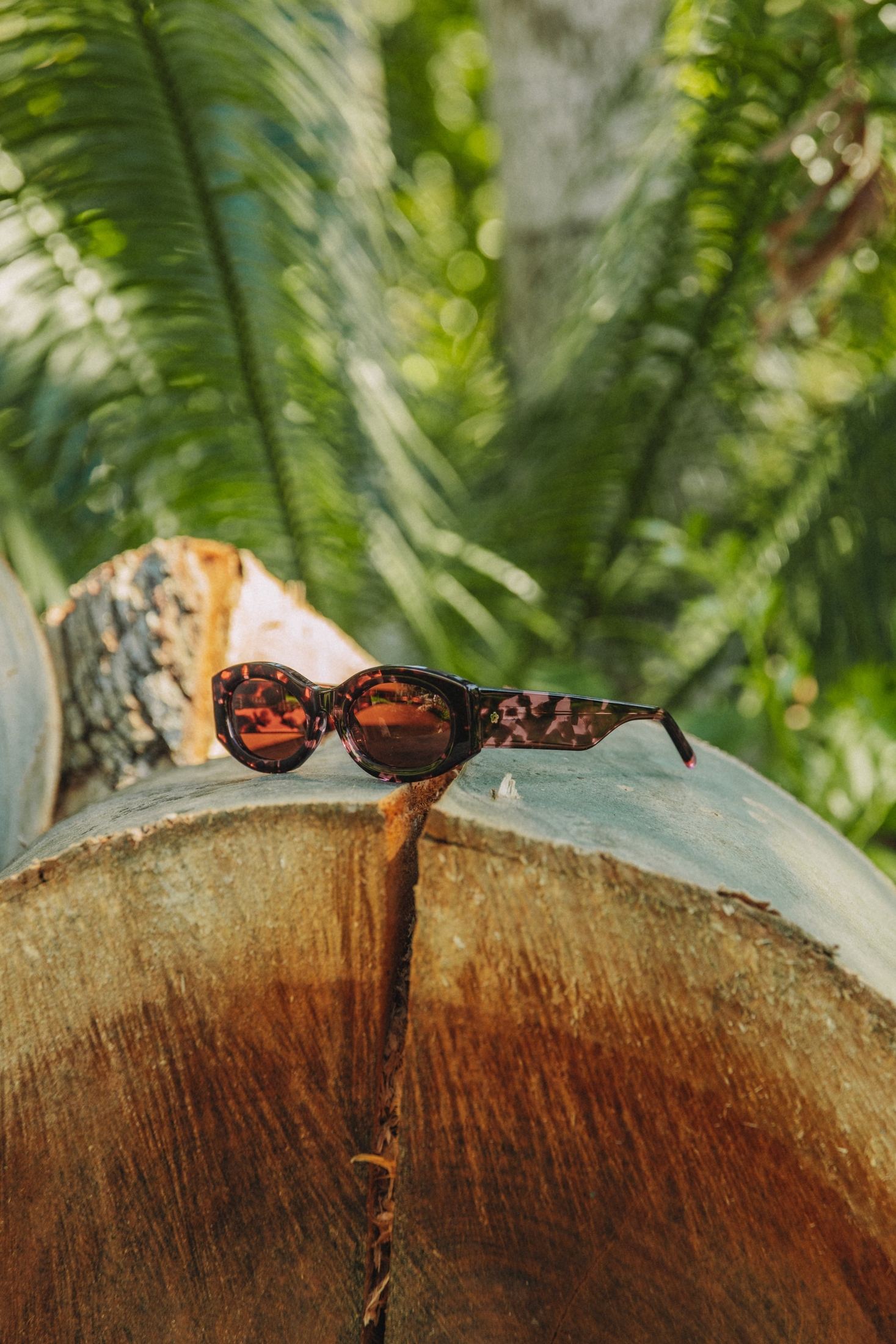 Lunettes de soleil | Sydney Écaille